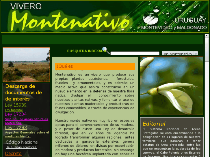 www.montenativo.com