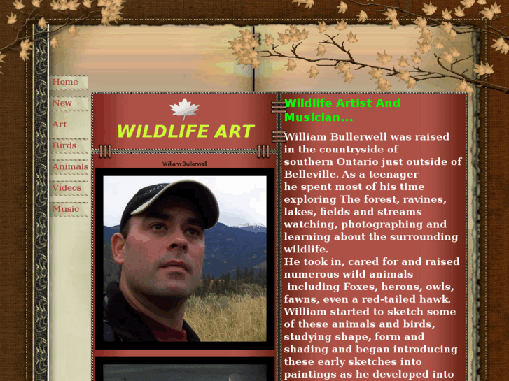 www.wildlifebrushstrokes.com