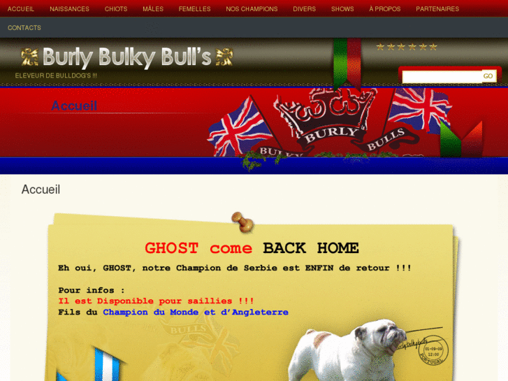 www.bbbulls.com