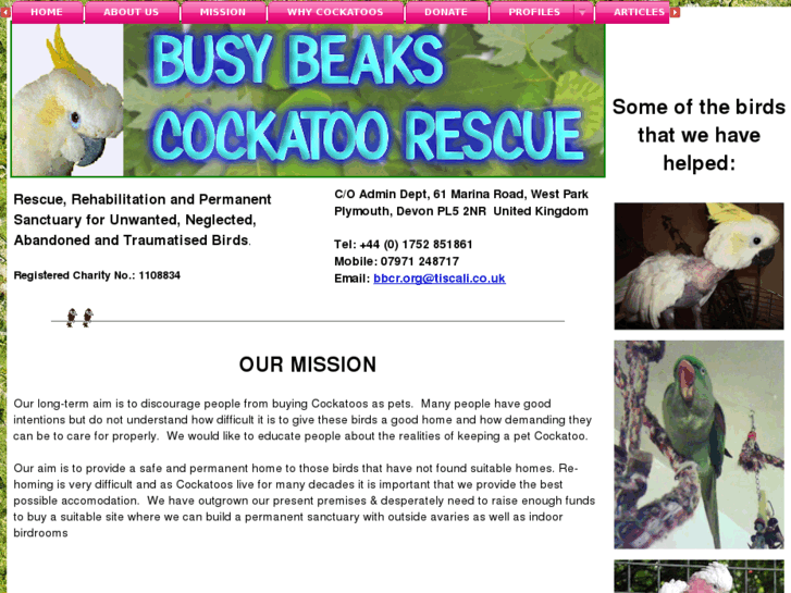 www.busybeaks.org