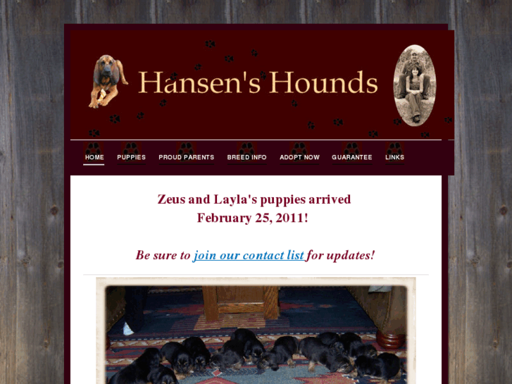 www.hansenhounds.com