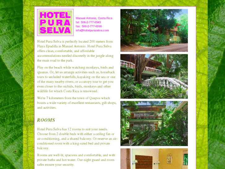 www.hotelpuraselva.com