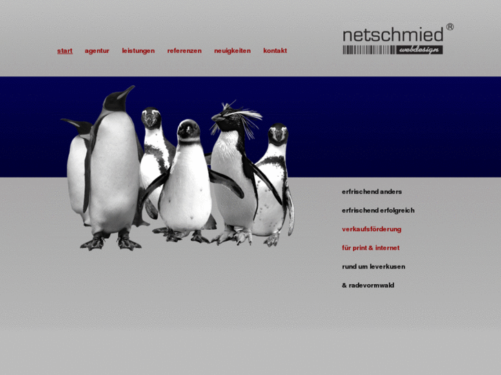 www.netschmied-webdesign.com