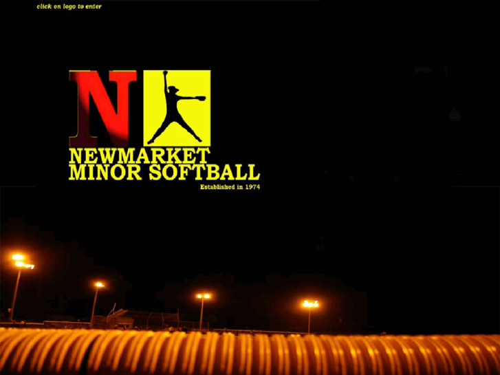 www.nmsa.net