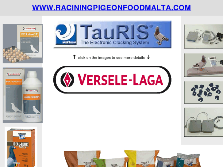 www.raciningpigeonfoodmalta.com