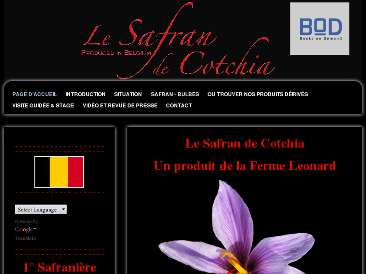 www.safrandecotchia.com