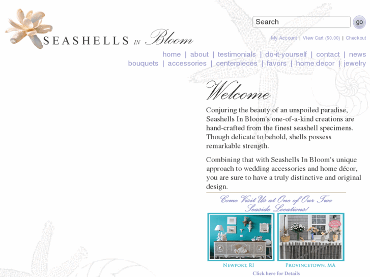 www.seashellsinbloom.com