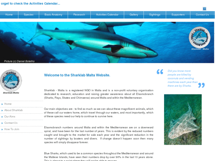 www.sharklab-malta.org