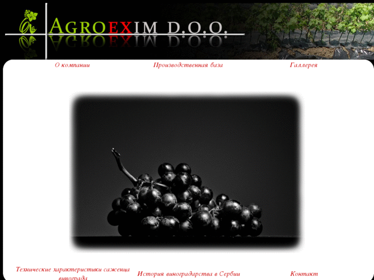www.agroexim.com