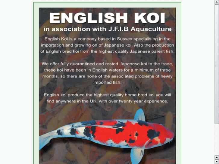 www.englishkoi.com