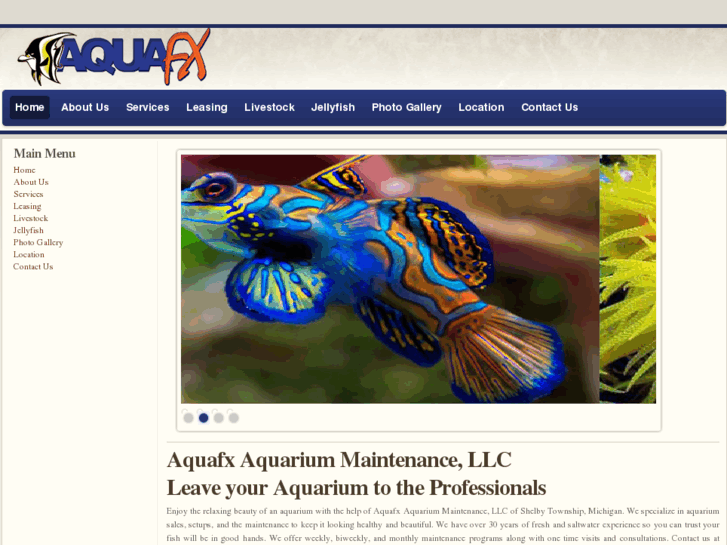 www.fxaquariums.com