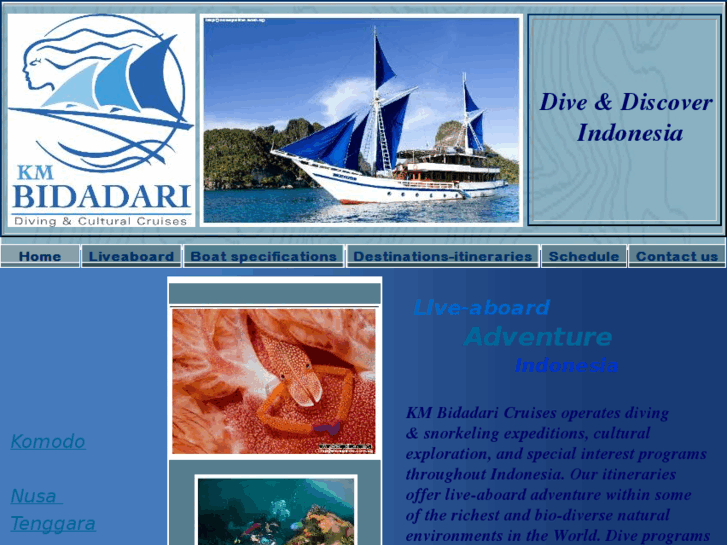 www.kmbidadari-cruises.com