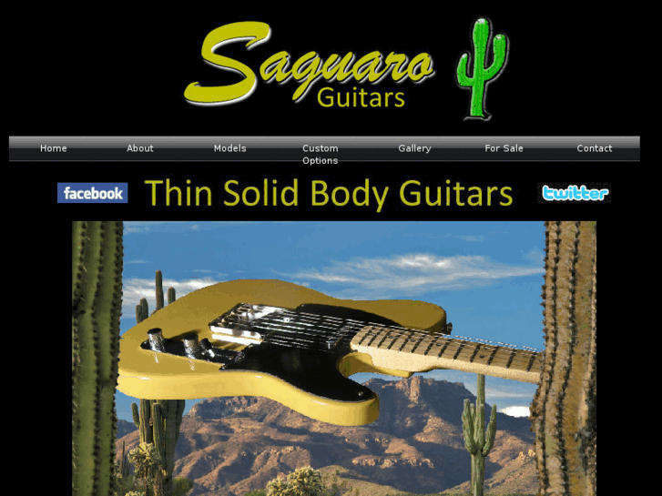 www.saguaroguitars.com