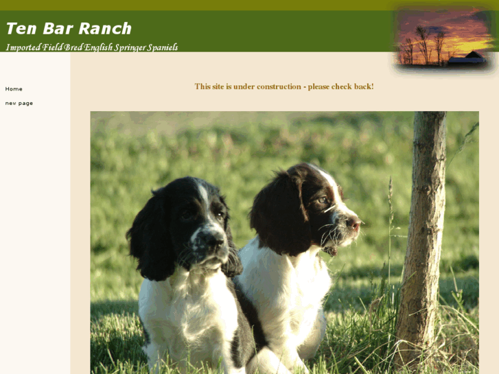 www.tenbarranch.net