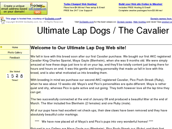 www.ultimatelapdog.com