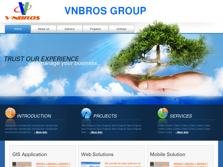 www.vnbros.com