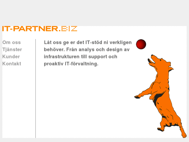 www.it-partner.biz