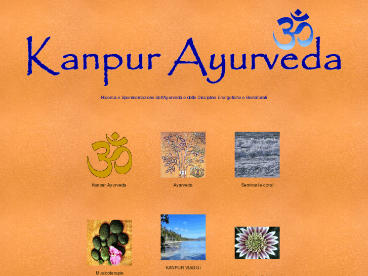 www.kanpurayurveda.com