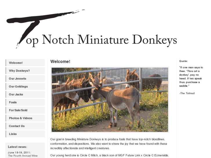 www.topnotchdonkeys.com