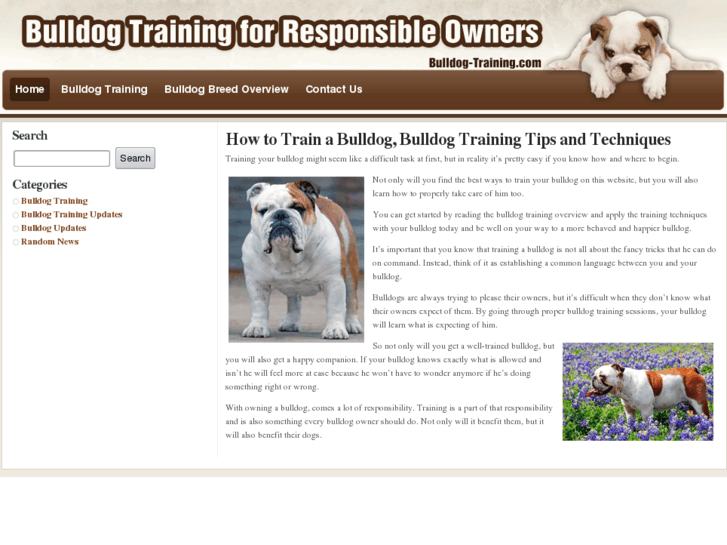 www.bulldog-training.com