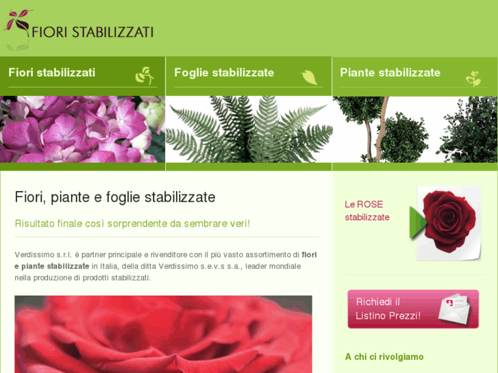 www.fiori-stabilizzati.com