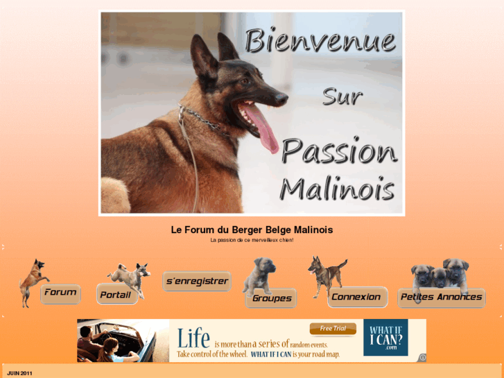 www.passion-malinois.com