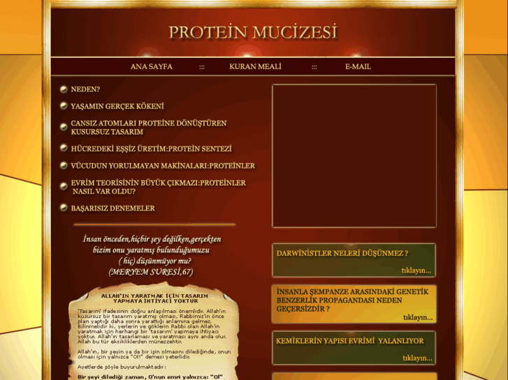 www.proteinmucizesi.com