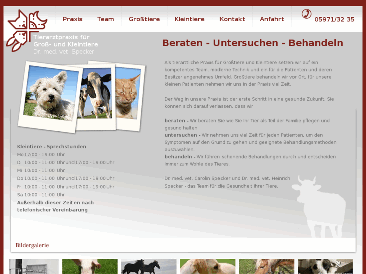 www.tierarzt-rheine.de