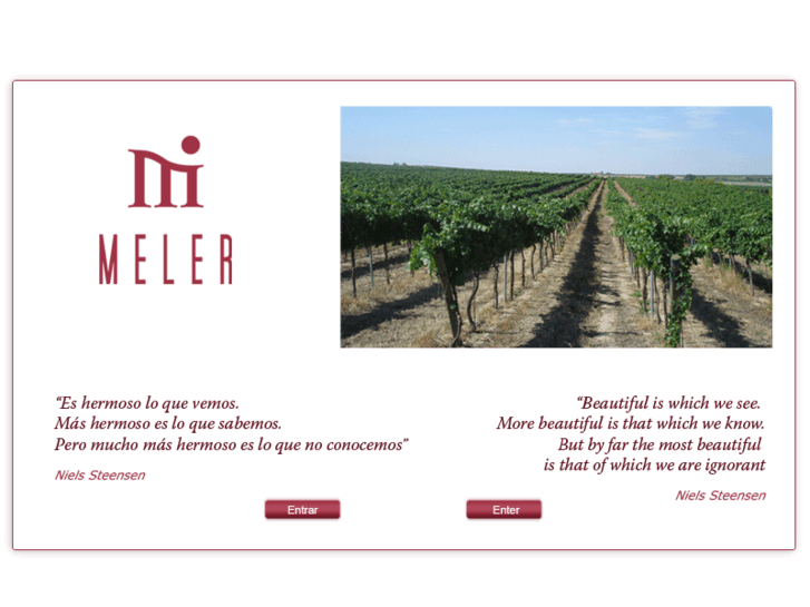 www.bodegasmeler.com