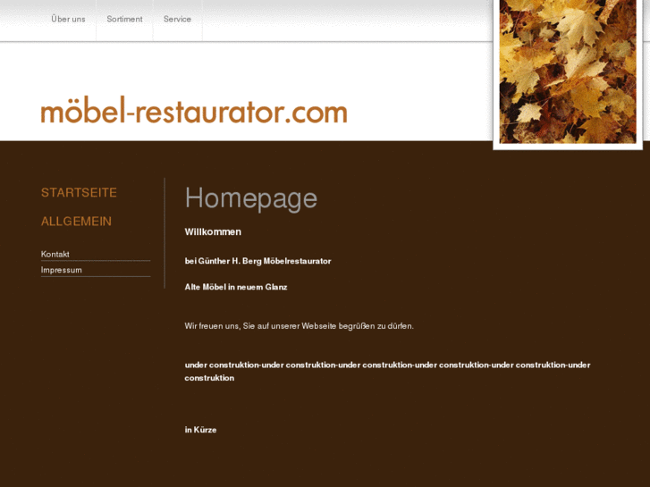 www.mbel-restaurator.com