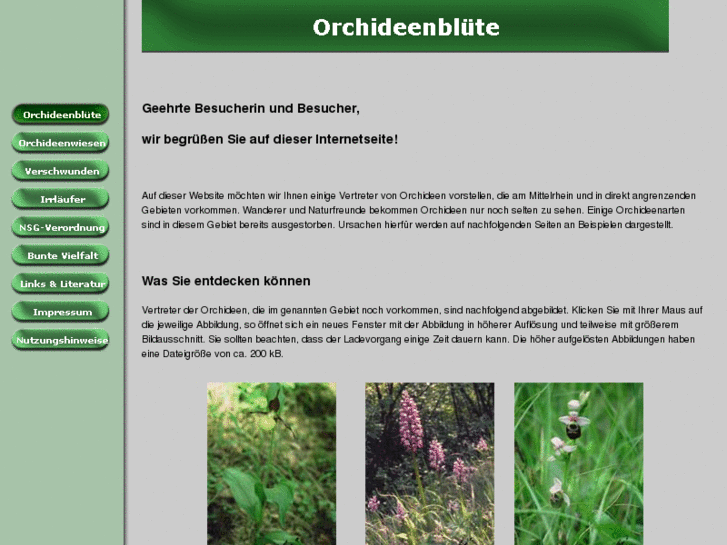 www.orchideenbluete.de