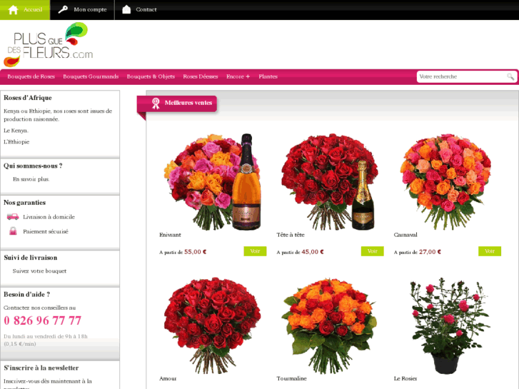 www.plusquedesfleurs.com