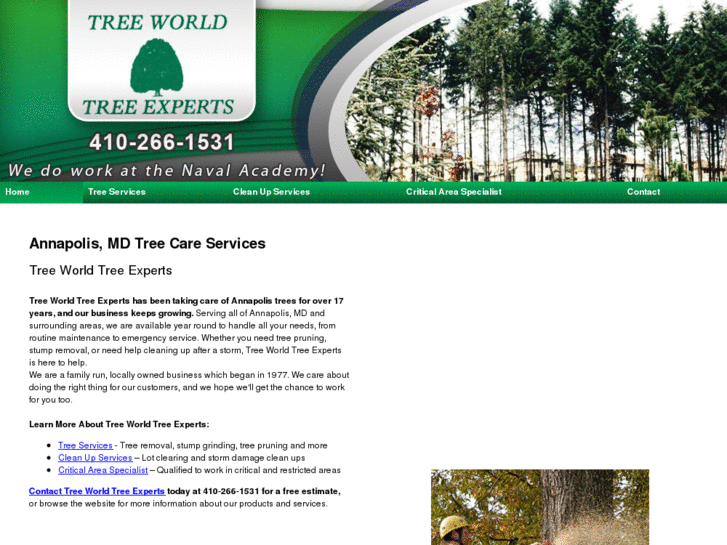 www.treeworldtreeexperts.com