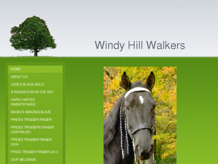 www.windyhillwalkerstwh.com