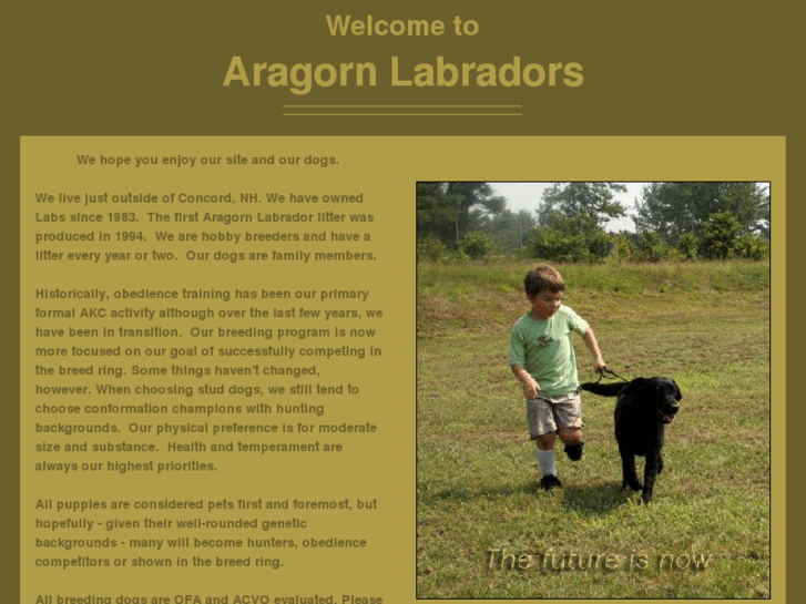 www.aragornlabs.com