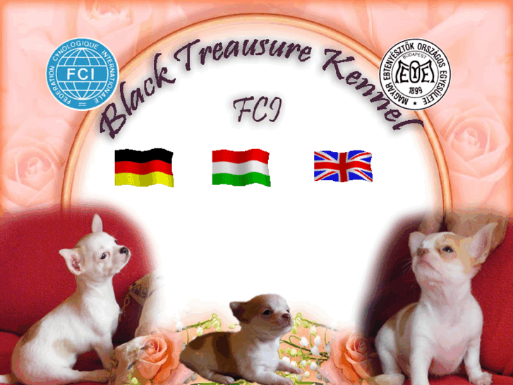 www.black-treasure-chi.com