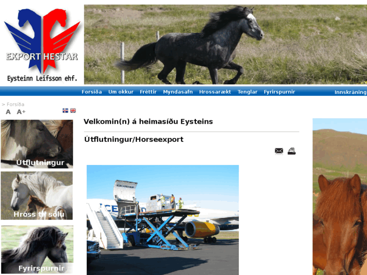 www.exporthestar.is