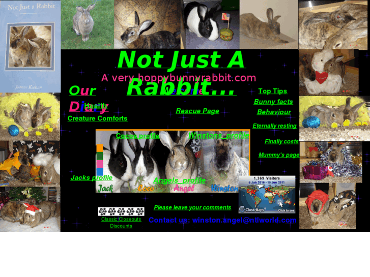 www.hoppybunnyrabbit.com