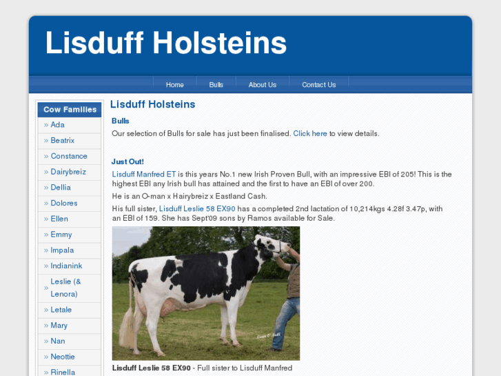 www.lisduffholsteins.com