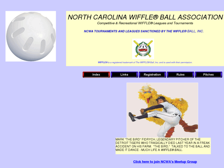 www.ncwiffle.com