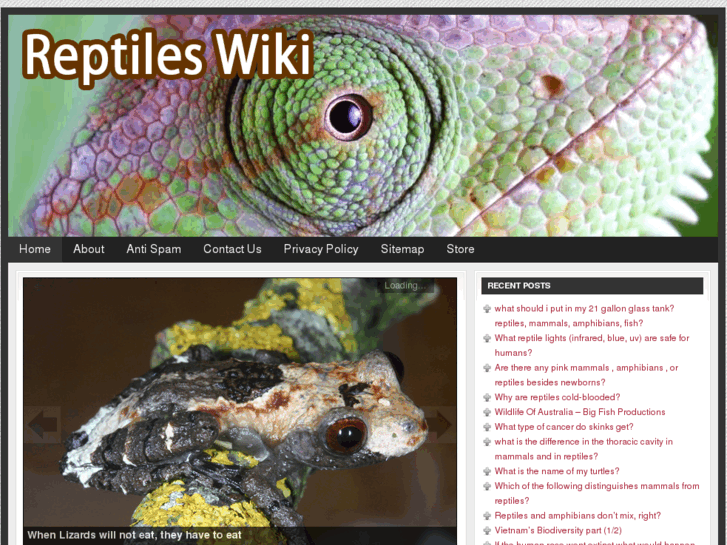 www.reptileswiki.com