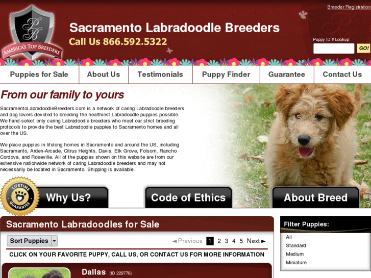 www.sacramentolabradoodlebreeders.com