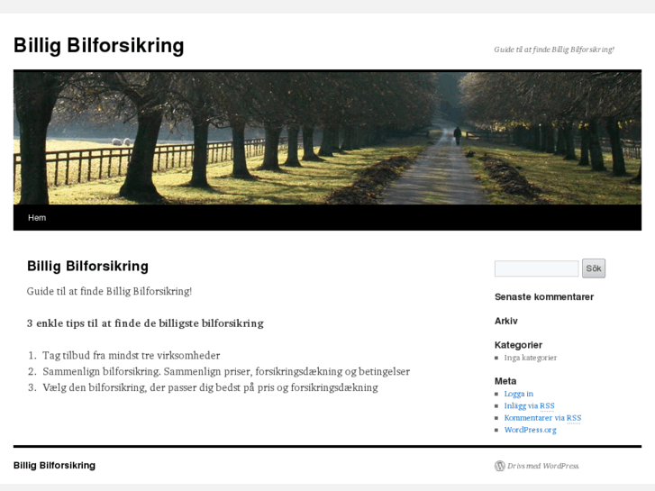 www.billig-bilforsikring.com