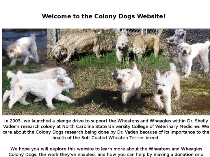 www.colonydogs.org