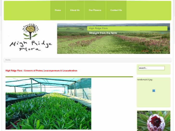 www.highridgeflora.co.za