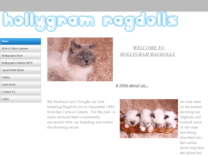 www.hollygramragdolls.com