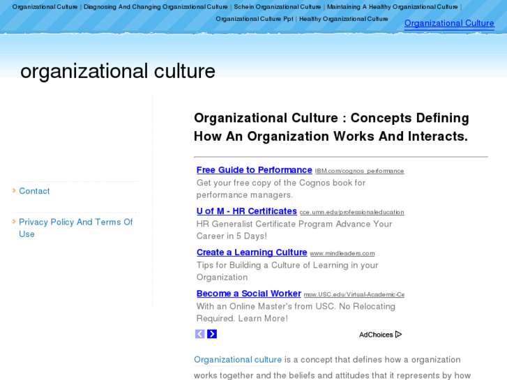 www.organizationalculture.info