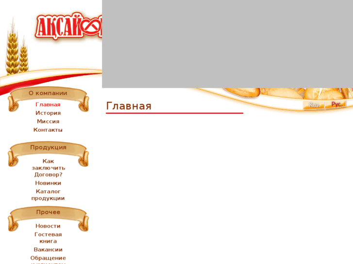 www.aksaynan.kz