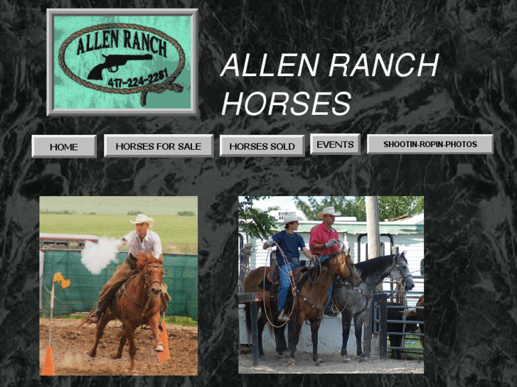 www.allenranchhorses.com