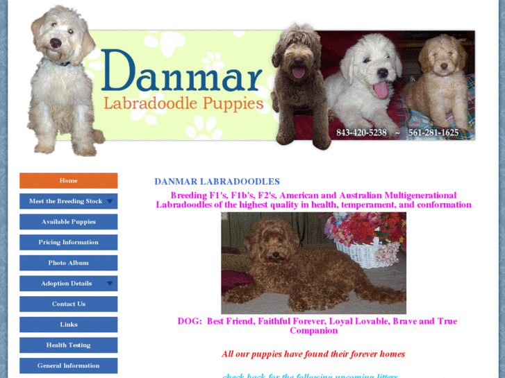 www.danmarlabradoodles.com